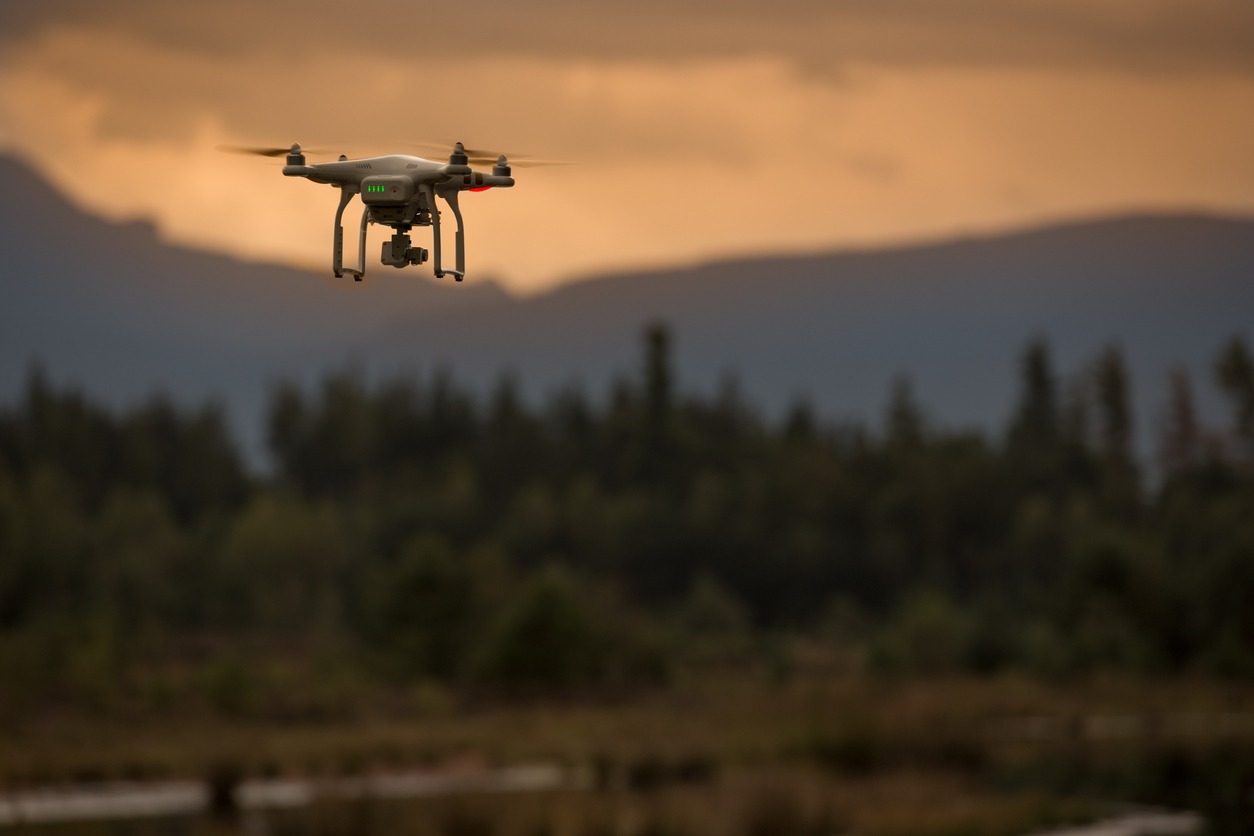 Drone flying over a forest
