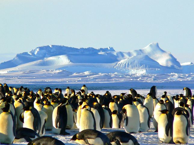 Antarctica