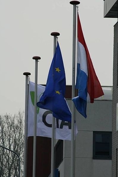 Role-of-CTA