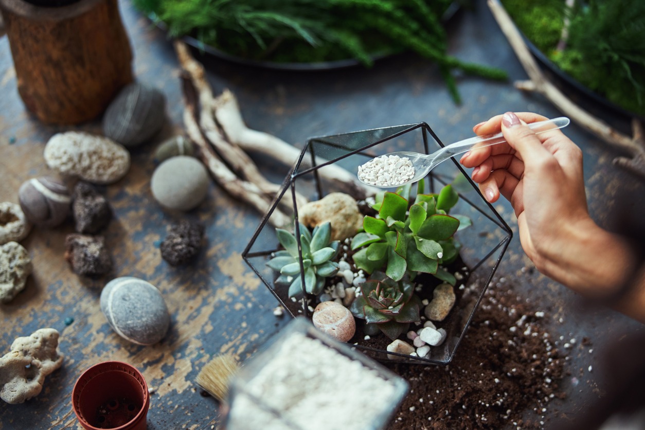 floral-designer-decorating-a-polyhedron-florarium-with-decorative-stones