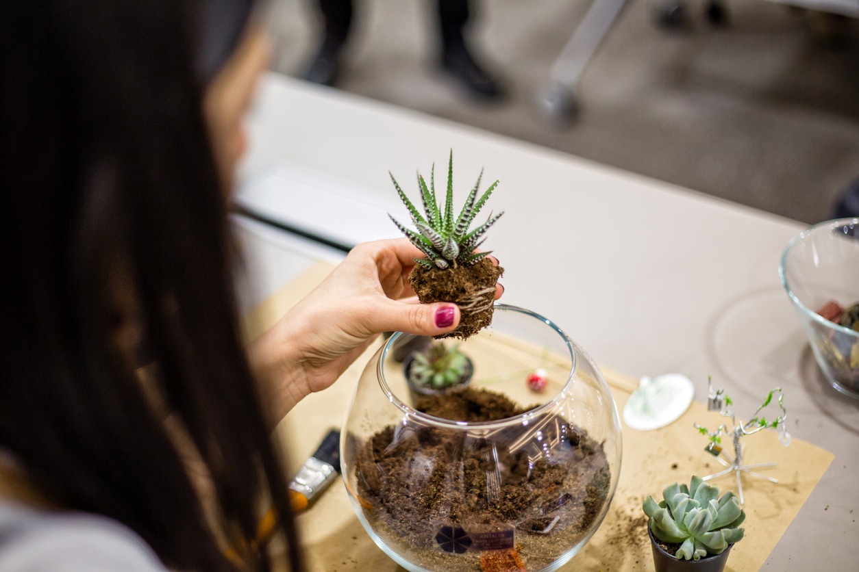 planting-succulent-in-a-terrarium