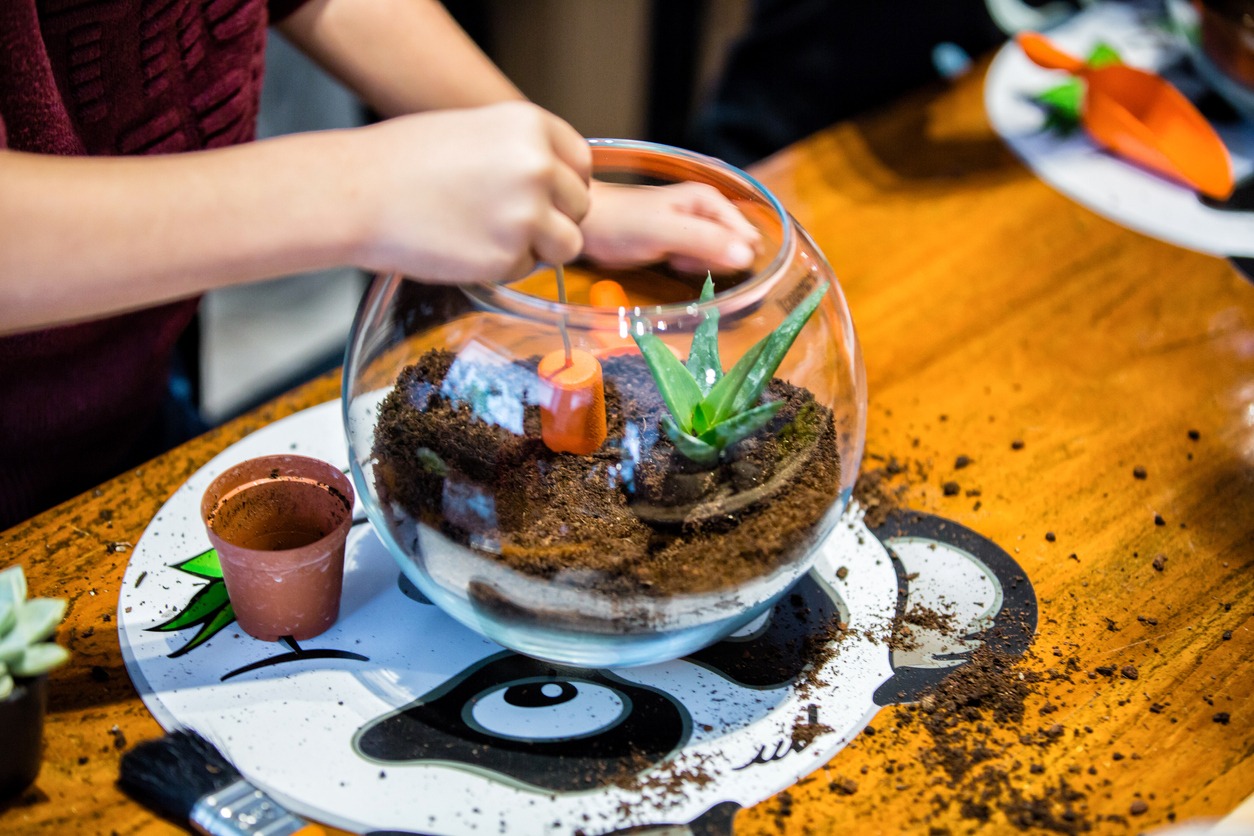 planting-succulent-terrarium
