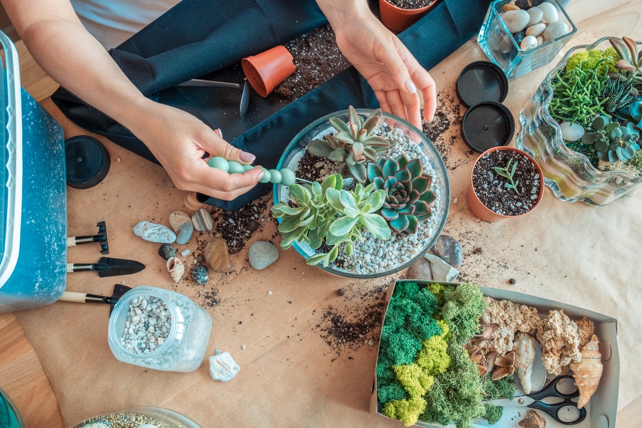 unrecognized-woman-planting-succulent-in-florarium-flat