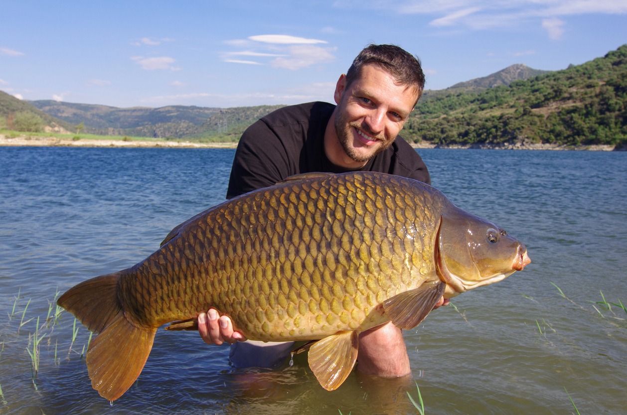 Catch of fish, carp fishing