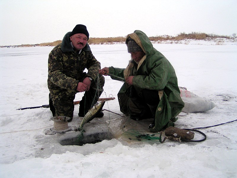 Fishing Throughout the Seasons