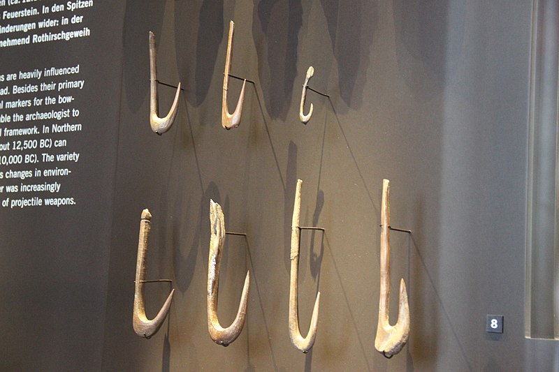 Paleolithic Fish Hooks