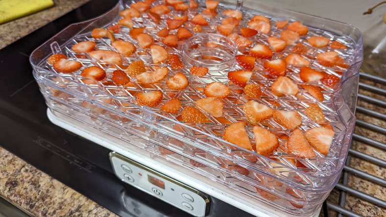 Fruits and Vegetables Best Suited for Dehydration 