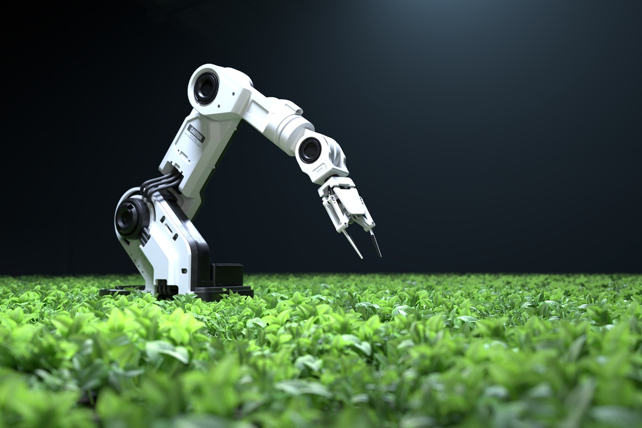 robot arm helping in hydroponics