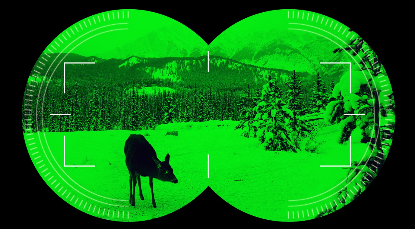 Night vision binocular scope view deer in green snow mountain background