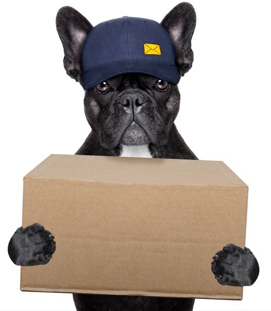 Dog delivery man, Delivery post dog