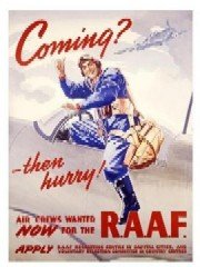 Air Force ww2 Poster 180