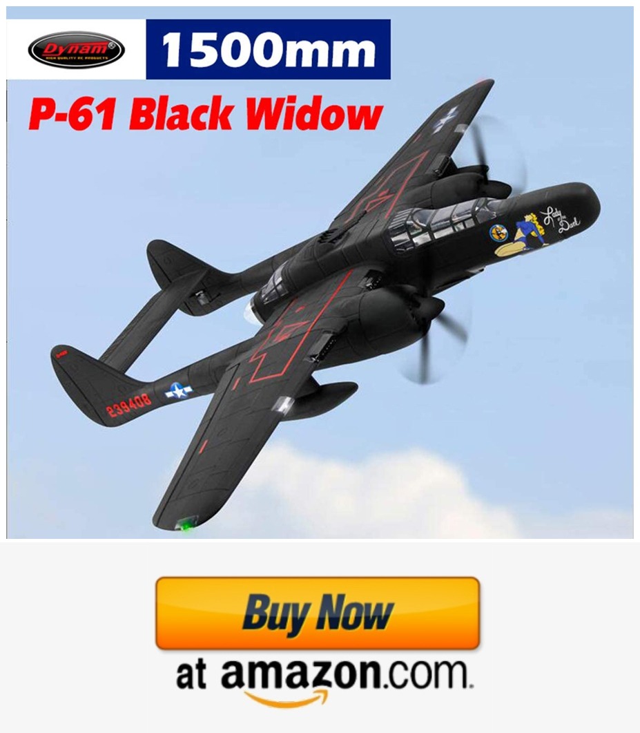 DYNAM RC Airplane P-61 Black Widow 1500mm Wingspan - PNP
