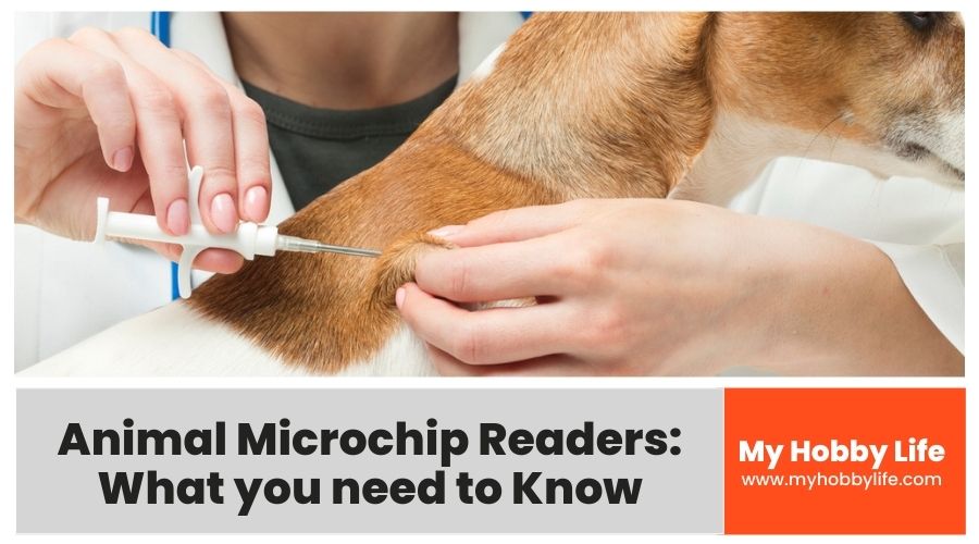 Animal Microchip Readers- What you need to Know