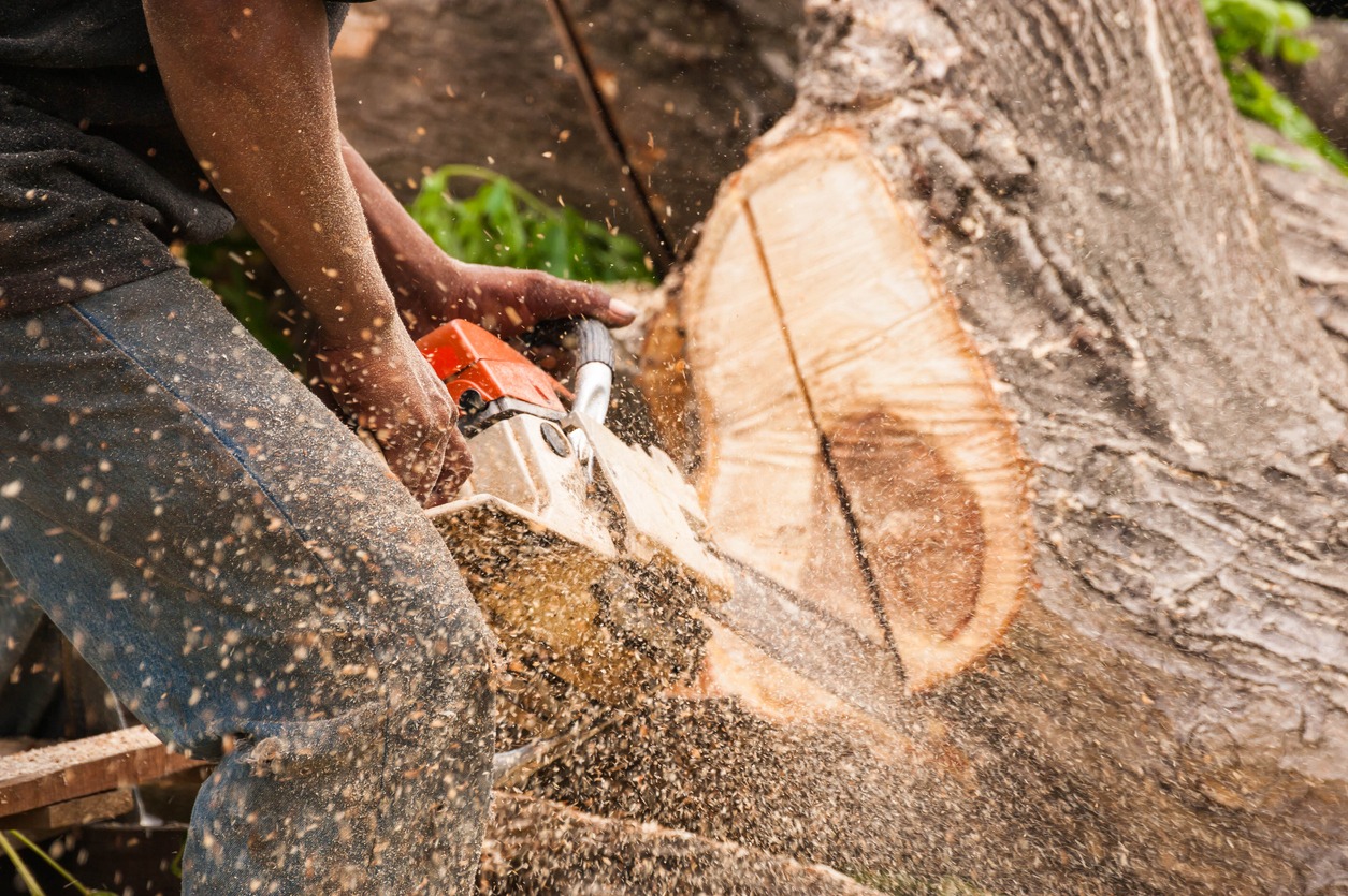 Man cutting a log of wood with a chainsaw