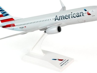 A Guide to American Airlines Boeing 737-800