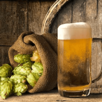 Crafting beer and brewing as a hobby