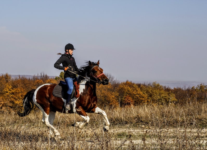 horseback riding-jpeg