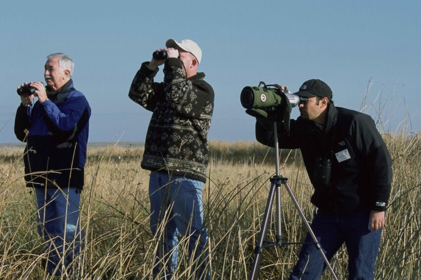 A group of men watching wildlife using telescopes