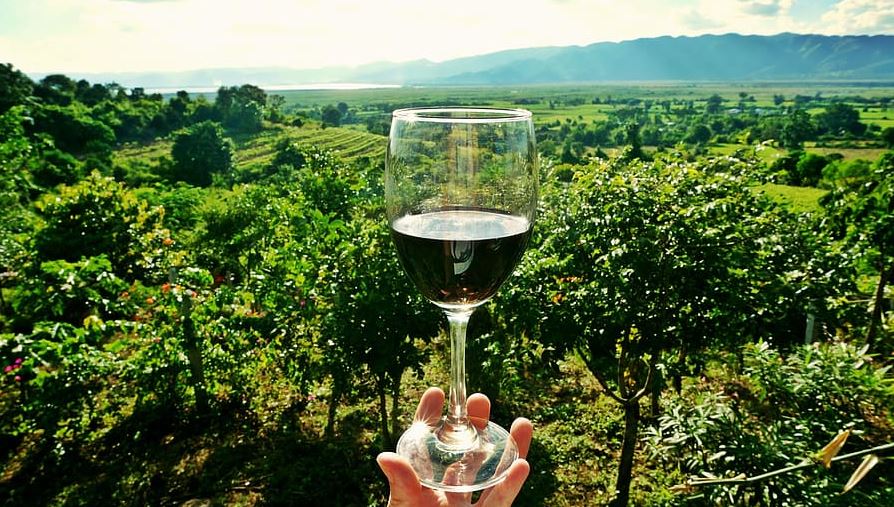 A person holding a wine glass with the view of the winery
