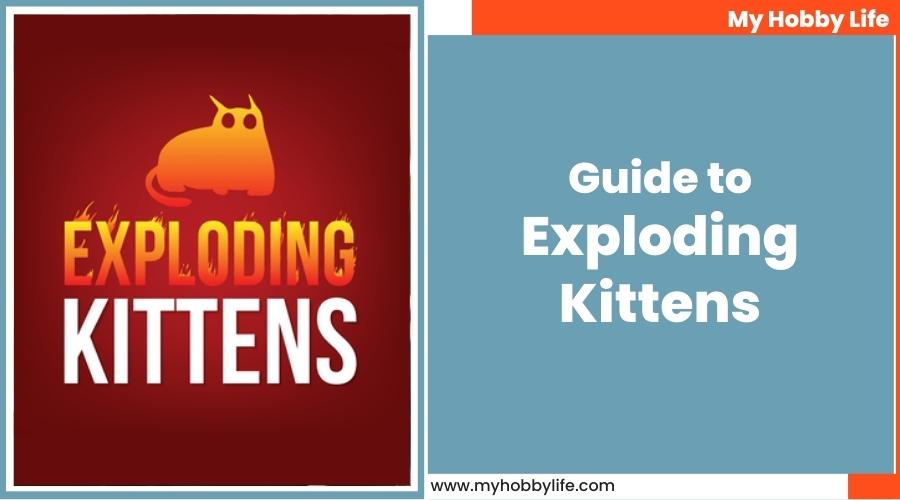 Guide to Exploding Kittens