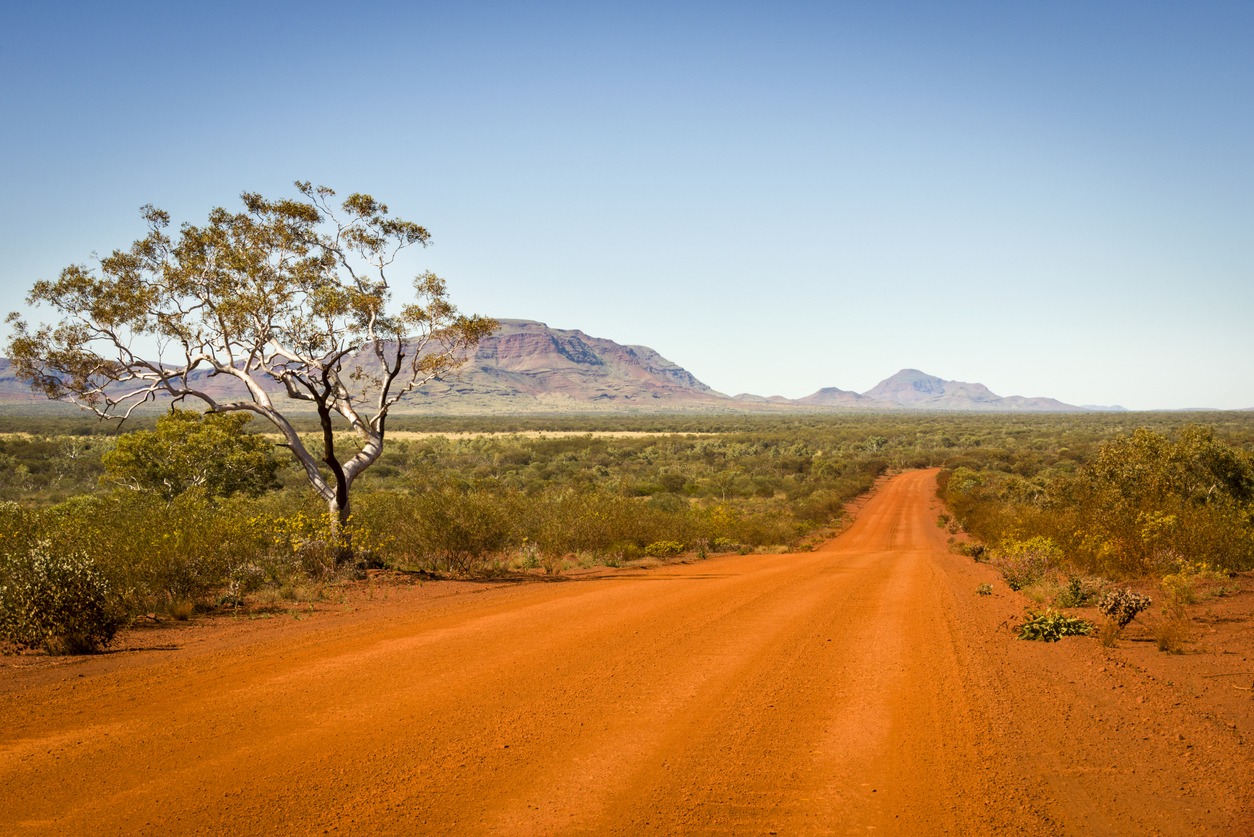 With a far-off mountain range in the background, a red dirt road passes a solitary tree