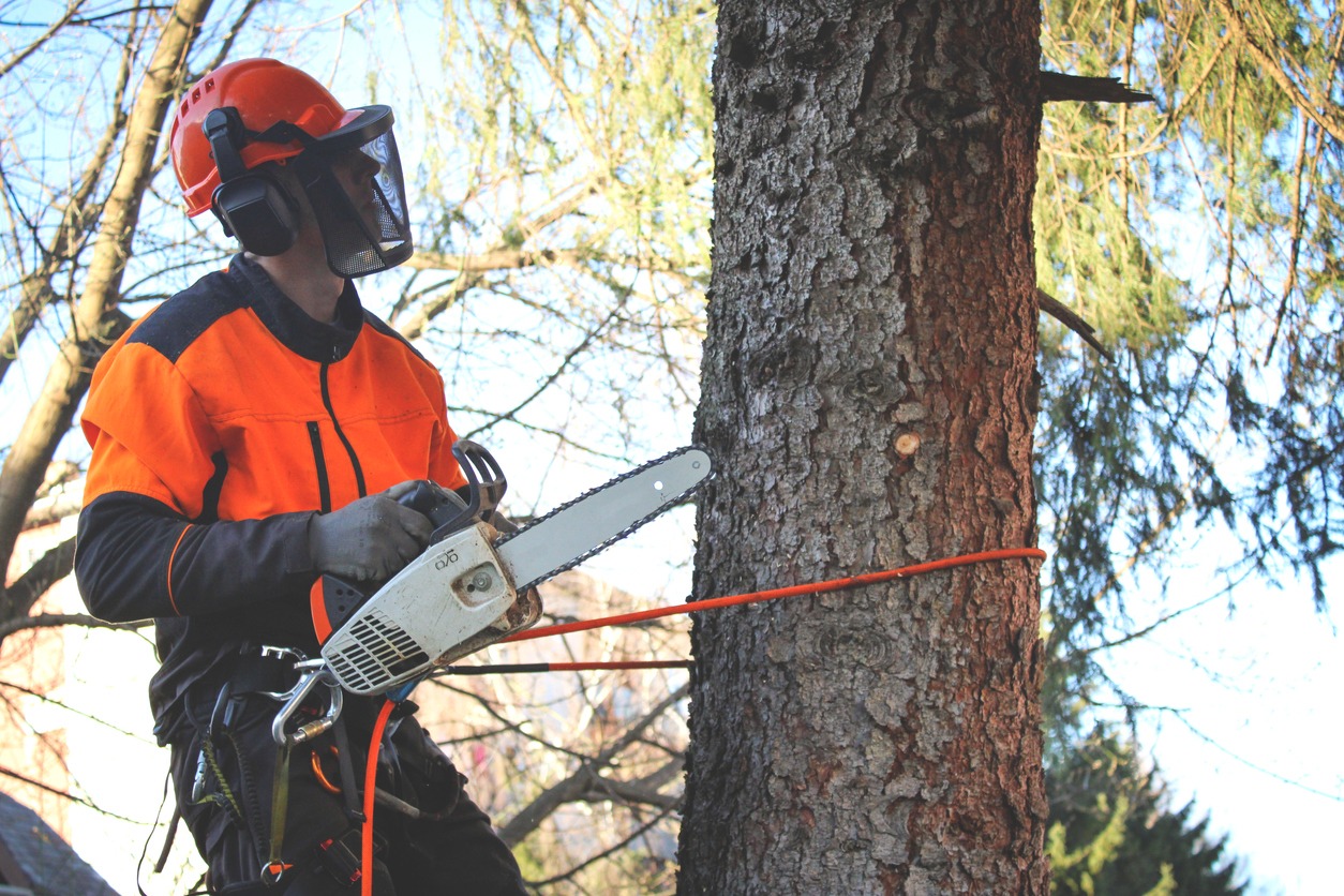 A man using a chainsaw while wearing ear protection