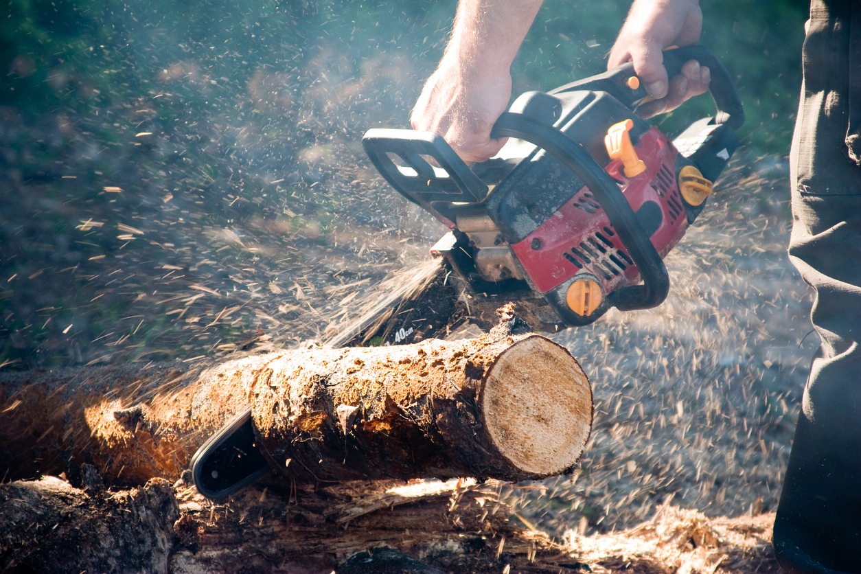 Man sawing log with a power saw