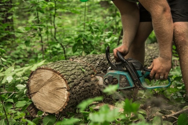 Picture-of-a-man-cutting-log-with-a-chainsaw