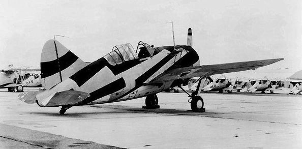 a Brewster F2A Buffalo plane in dazzle camouflage