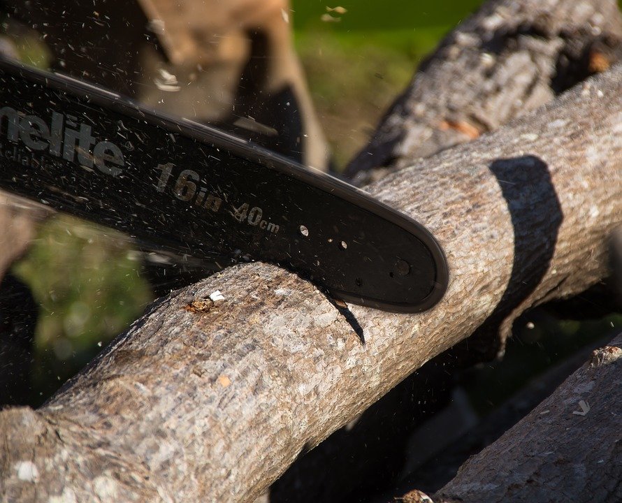 chainsaw-Pole-Saws-A-Buying-Guide