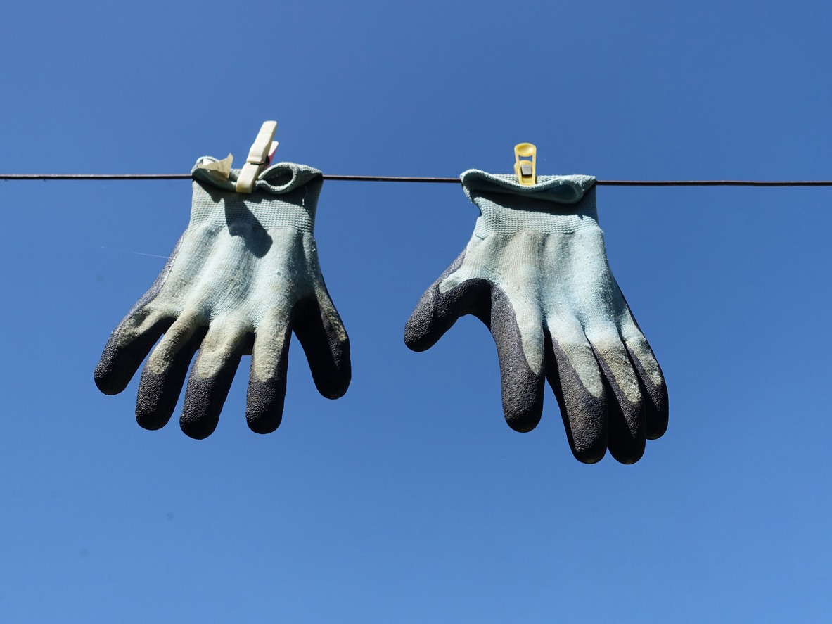 washed work gloves hanging out to dry