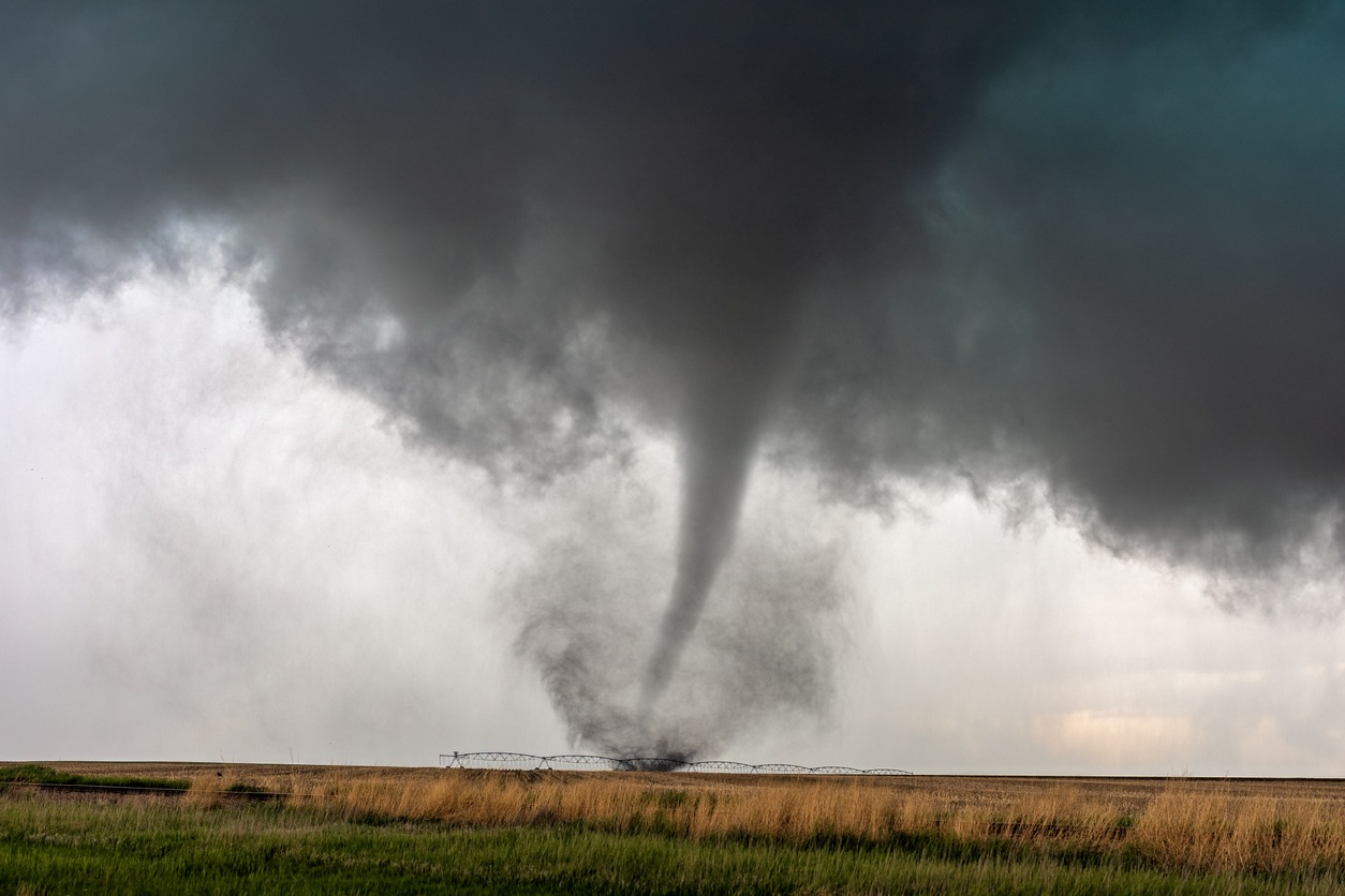 A tornado spins in a field beneath a supercell thunderstorm during a severe weather event in Selden, Kansas