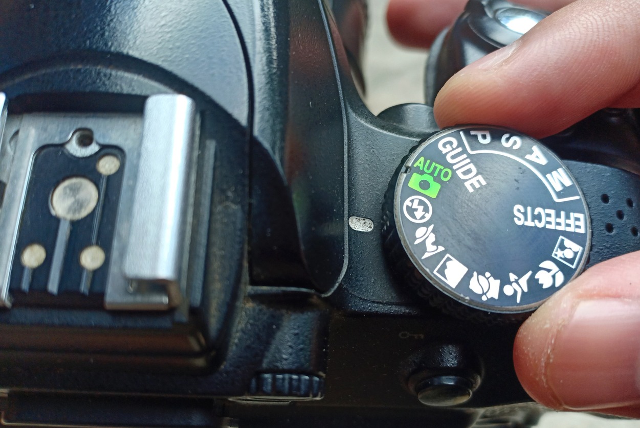 Get Familiar with Your Camera's Flash Modes 