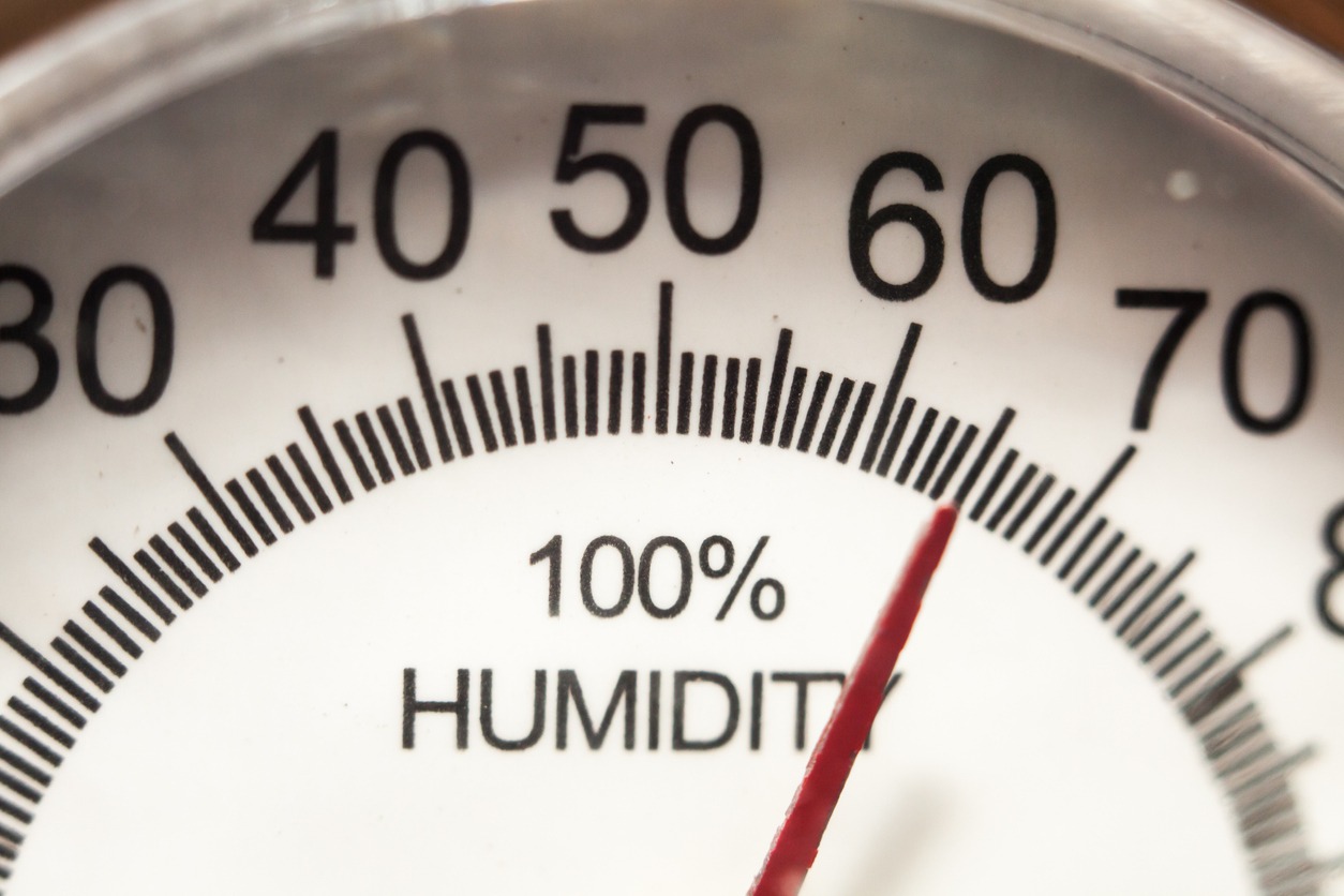 closeup of a humidity gauge.