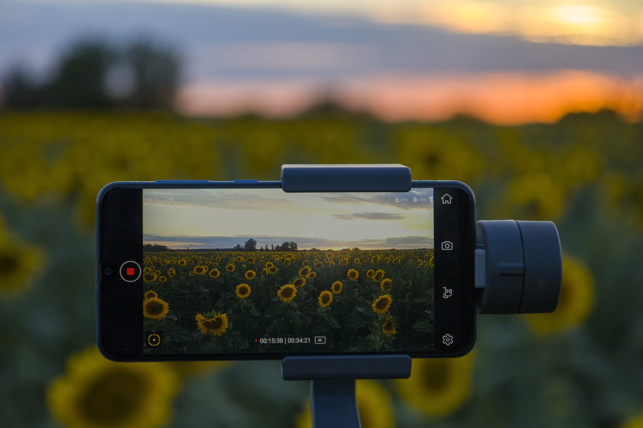Steadicam for phone that shoots sunflowers