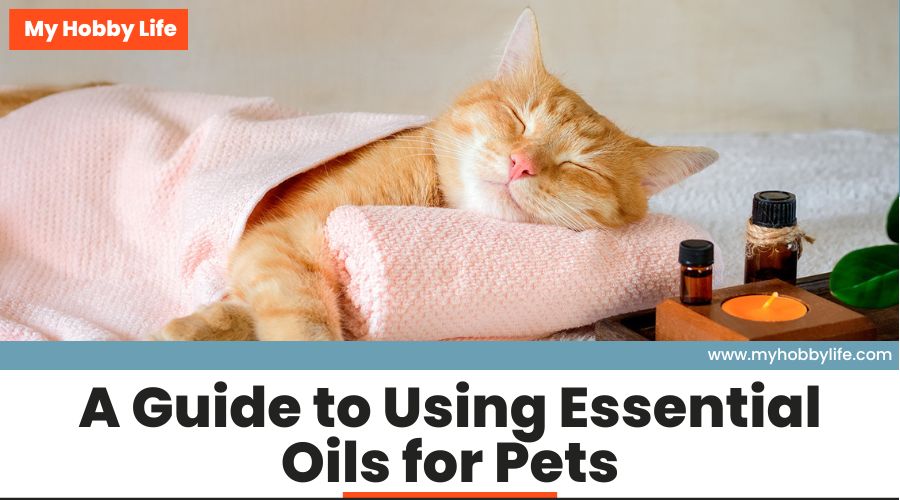 A Guide to Using Essential Oils for Pets