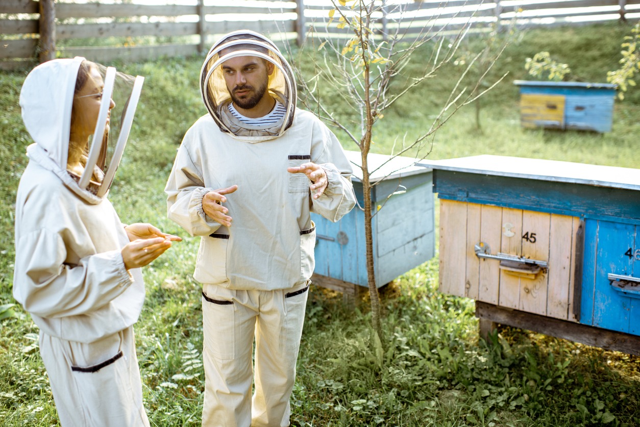 Beekeepers with complete safety gear beside their apiary