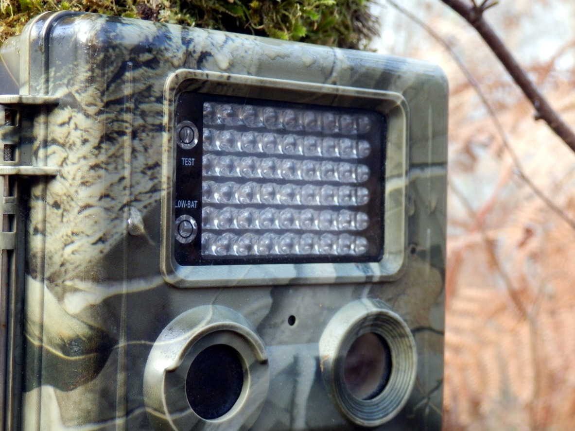Closeup of a game camera.