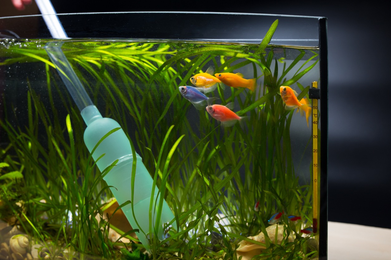 Fish tank pumps, Aquarium water pumo