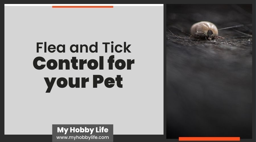 Flea and Tick Control for your Pet