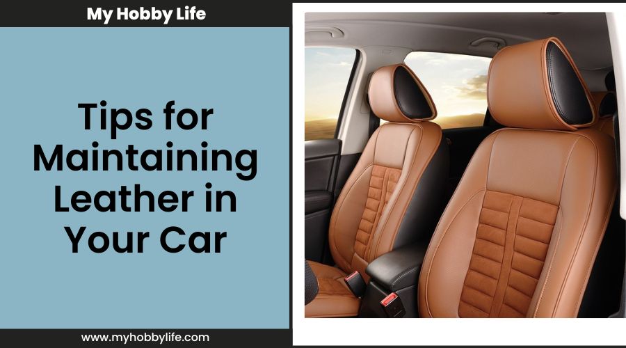 Tips for Maintaining Leather in Your Car