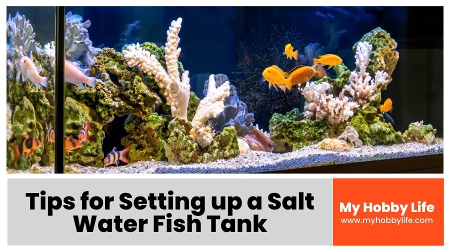 Tips for Setting up a Salt Water Fish Tank