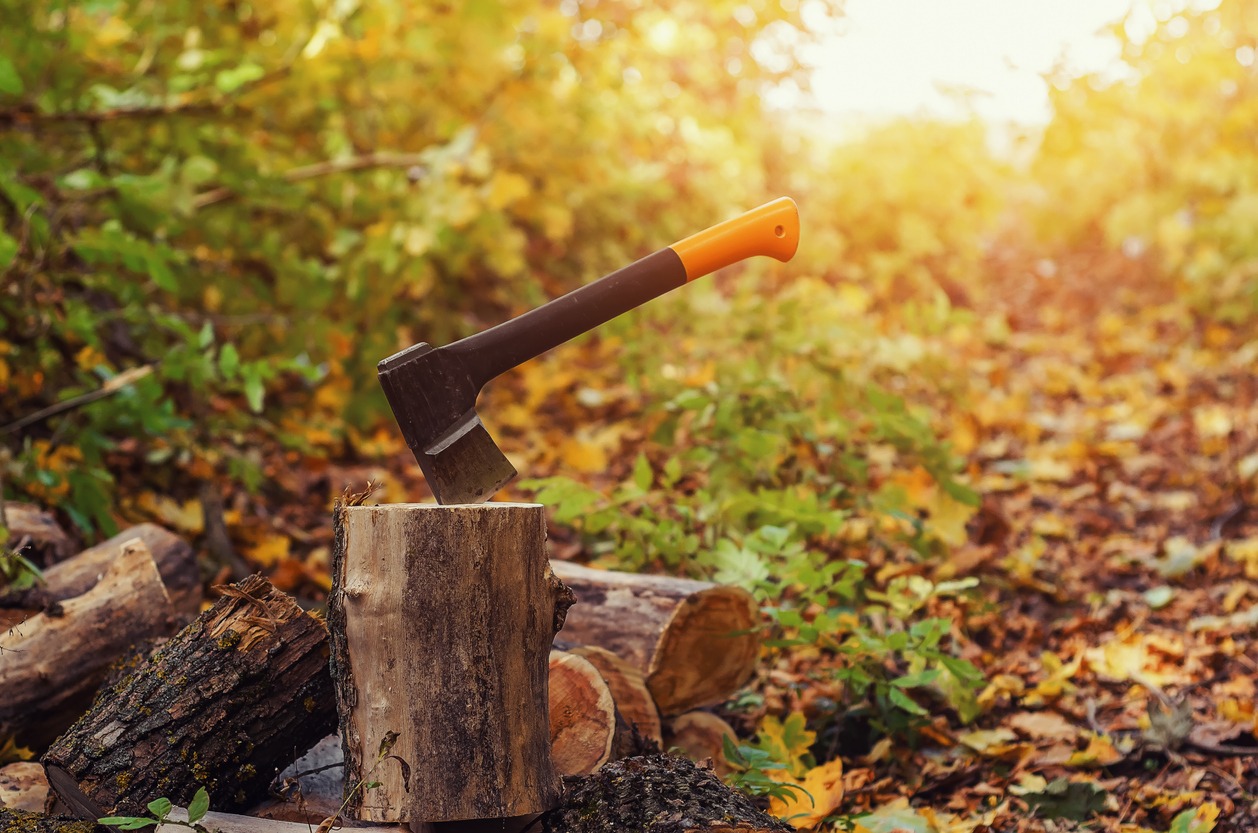 Firewood, sharp ax sticking out in a log, nature, forest, autumn, grass sunny day, close-up