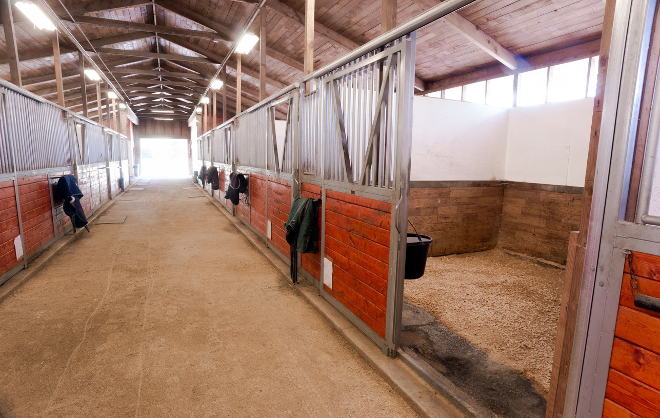 Barn horse, Horse stable