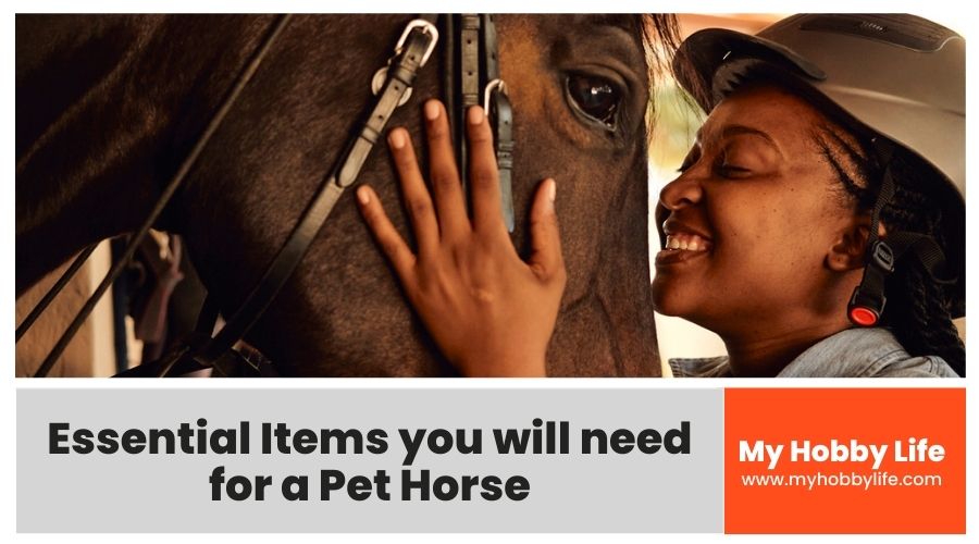 Essential Items you will need for a Pet Horse