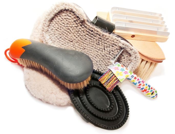 Grooming supplies, Set of brushes for horse