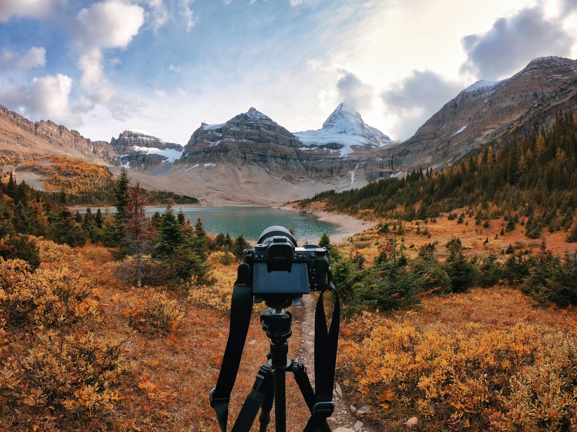 Mirrorless camera on tripod standing in autumn forest with mount Assiniboine in national park