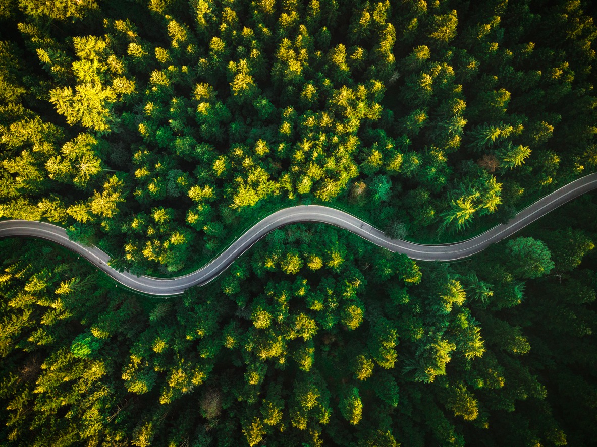 Drone-taken picture of a road running through a forest