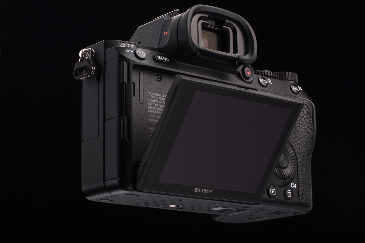 Sony camera with tilting screen