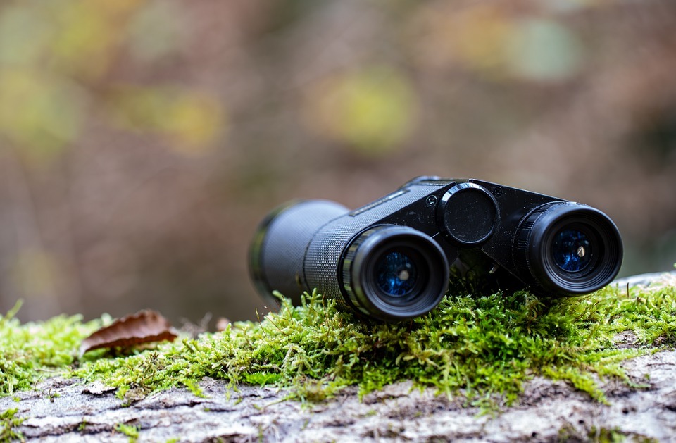 Binoculars-on-a-log